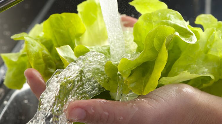Rửa rau kỹ để phòng tránh E. coli