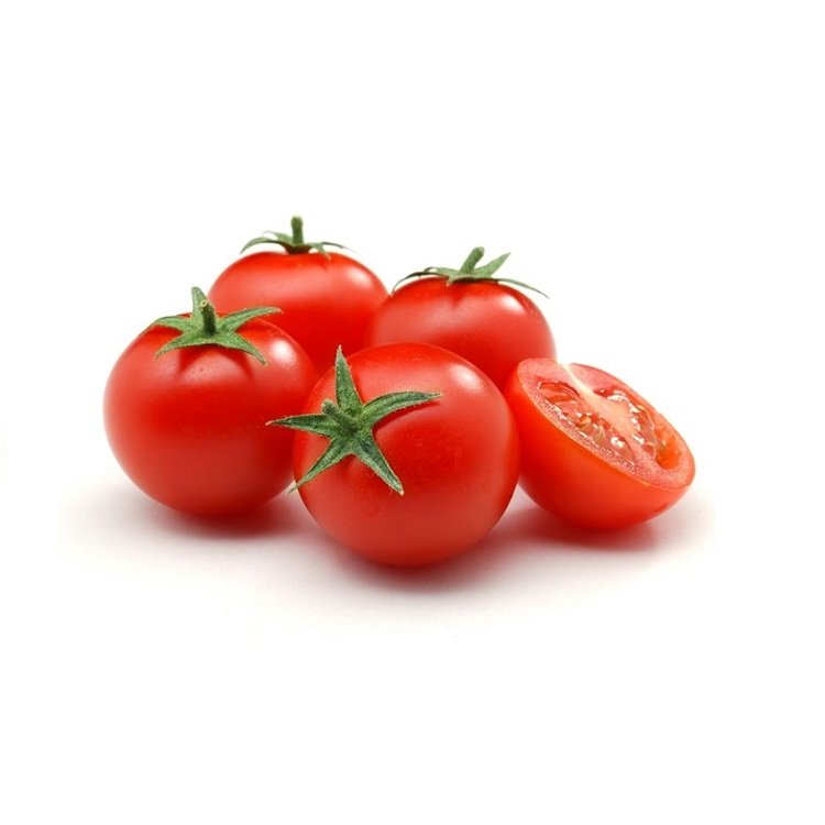 Cà chua mang những đặc điểm gì? 