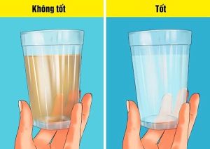 Cách kiểm tra chất lượng nước sinh hoạt